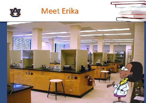 Meet Erika 
