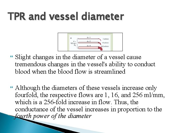 TPR and vessel diameter Slight changes in the diameter of a vessel cause tremendous TPR and vessel diameter Slight changes in the diameter of a vessel cause tremendous