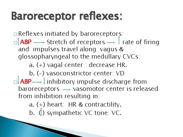 Baroreceptor reflexes: � Reflexes initiated by baroreceptors: � ABP Stretch of receptors rate of Baroreceptor reflexes: � Reflexes initiated by baroreceptors: � ABP Stretch of receptors rate of