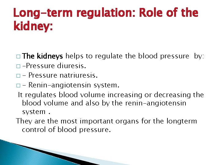 Long-term regulation: Role of the kidney: � The kidneys helps to regulate the blood Long-term regulation: Role of the kidney: � The kidneys helps to regulate the blood