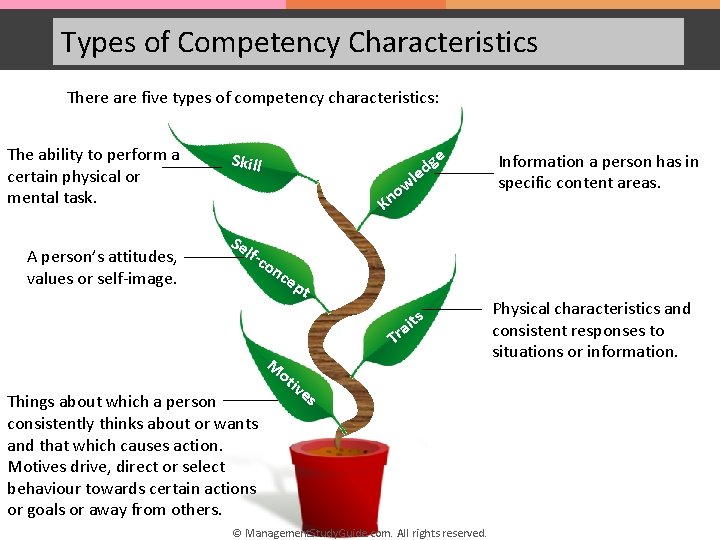 Types of Competency Characteristics There are five types of competency characteristics: The ability to