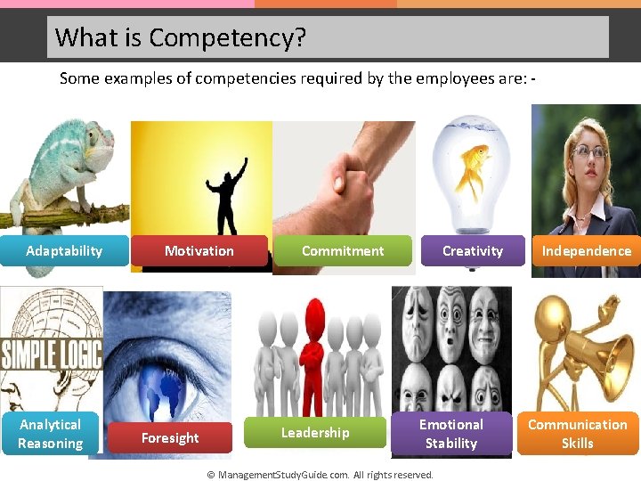 What is Competency? Some examples of competencies required by the employees are: - Adaptability