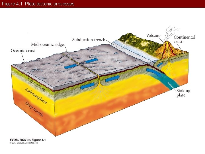 Figure 4. 1 Plate tectonic processes 