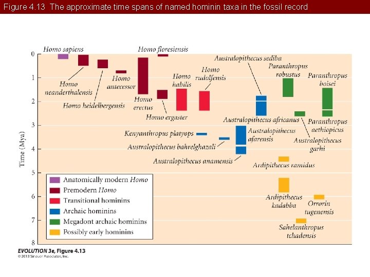 Figure 4. 13 The approximate time spans of named hominin taxa in the fossil