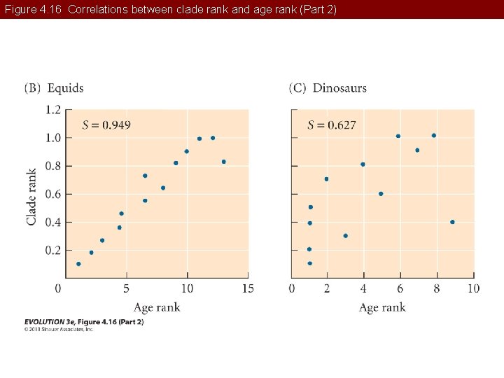 Figure 4. 16 Correlations between clade rank and age rank (Part 2) 