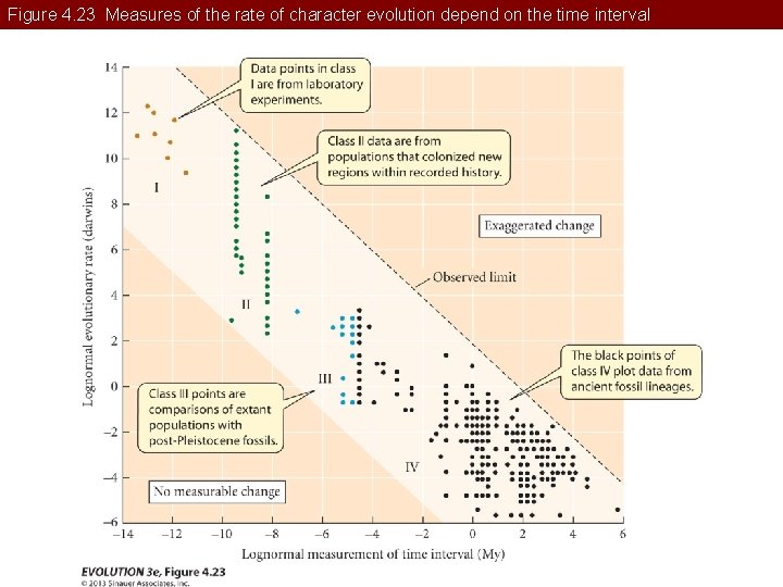 Figure 4. 23 Measures of the rate of character evolution depend on the time