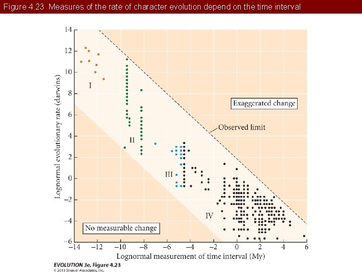 Figure 4. 23 Measures of the rate of character evolution depend on the time