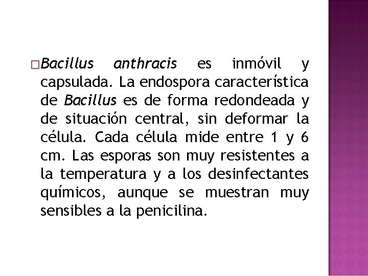 �Bacillus anthracis es inmóvil y capsulada. La endospora característica de Bacillus es de forma