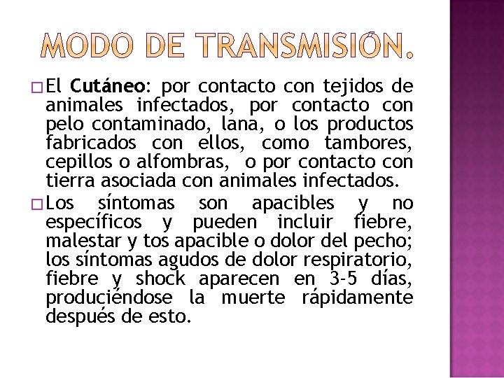 � El Cutáneo: por contacto con tejidos de animales infectados, por contacto con pelo