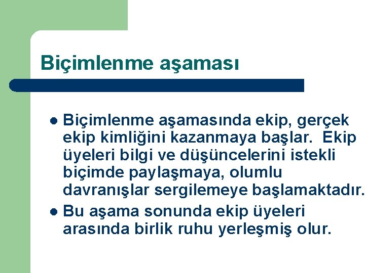 Biçimlenme aşamasında ekip, gerçek ekip kimliğini kazanmaya başlar. Ekip üyeleri bilgi ve düşüncelerini istekli