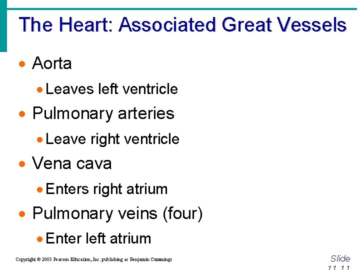 The Heart: Associated Great Vessels · Aorta · Leaves left ventricle · Pulmonary arteries