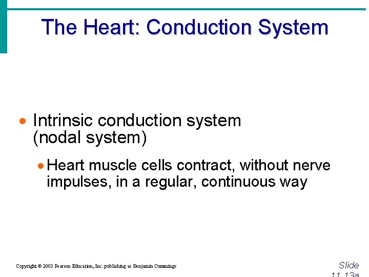 The Heart: Conduction System · Intrinsic conduction system (nodal system) · Heart muscle cells