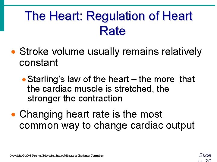 The Heart: Regulation of Heart Rate · Stroke volume usually remains relatively constant ·