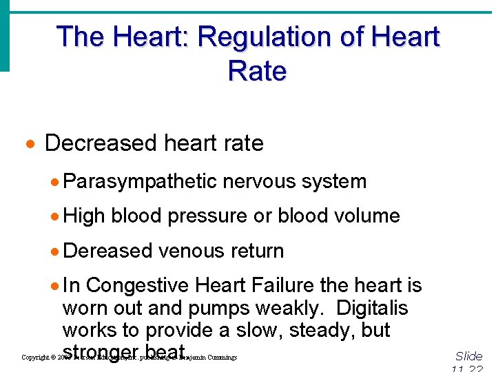 The Heart: Regulation of Heart Rate · Decreased heart rate · Parasympathetic nervous system