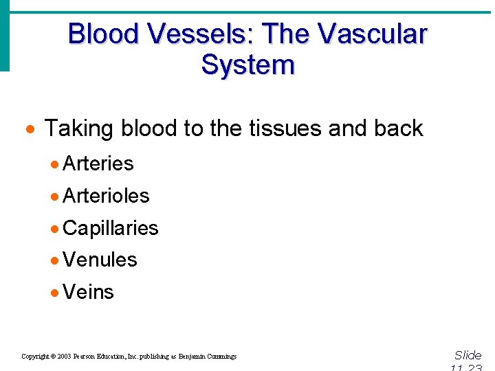 Blood Vessels: The Vascular System · Taking blood to the tissues and back ·