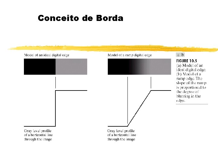 Conceito de Borda 