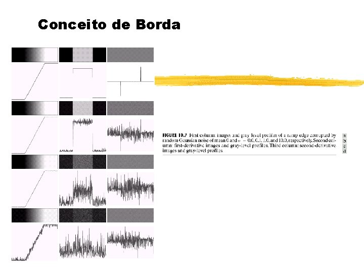 Conceito de Borda 
