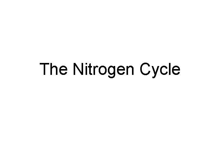 The Nitrogen Cycle 