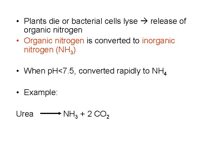  • Plants die or bacterial cells lyse release of organic nitrogen • Organic