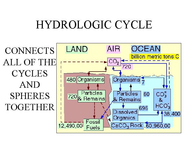 HYDROLOGIC CYCLE CONNECTS ALL OF THE CYCLES AND SPHERES TOGETHER 