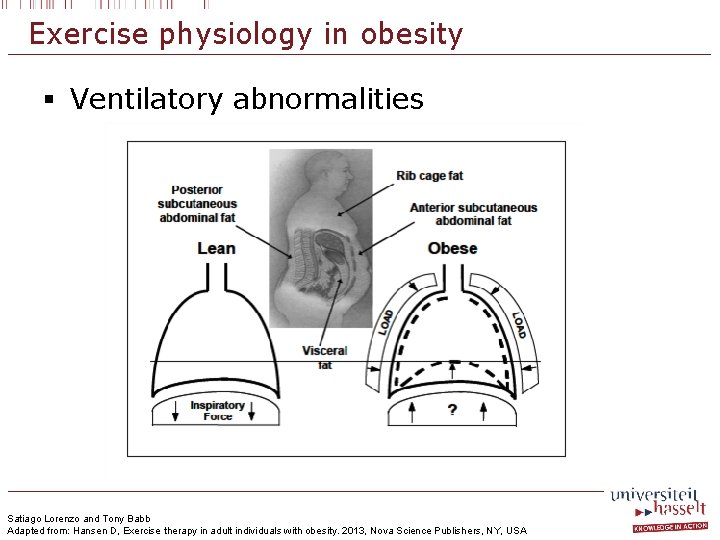 Exercise physiology in obesity § Ventilatory abnormalities Satiago Lorenzo and Tony Babb Adapted from: