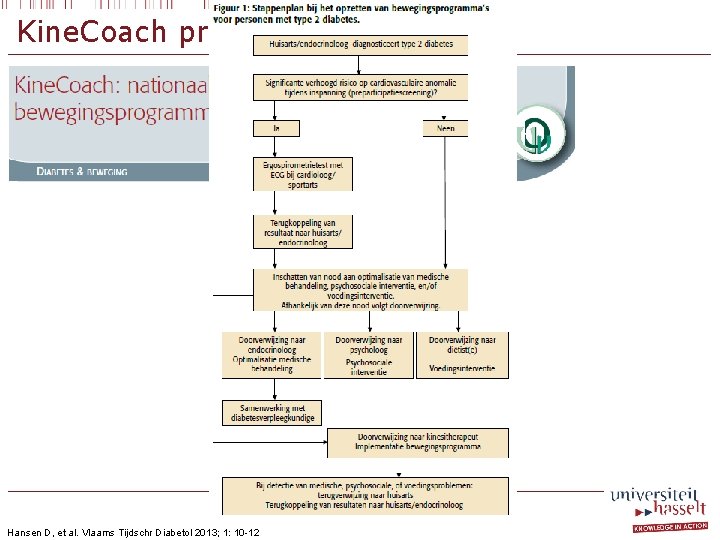 Kine. Coach project Hansen D, et al. Vlaams Tijdschr Diabetol 2013; 1: 10 -12