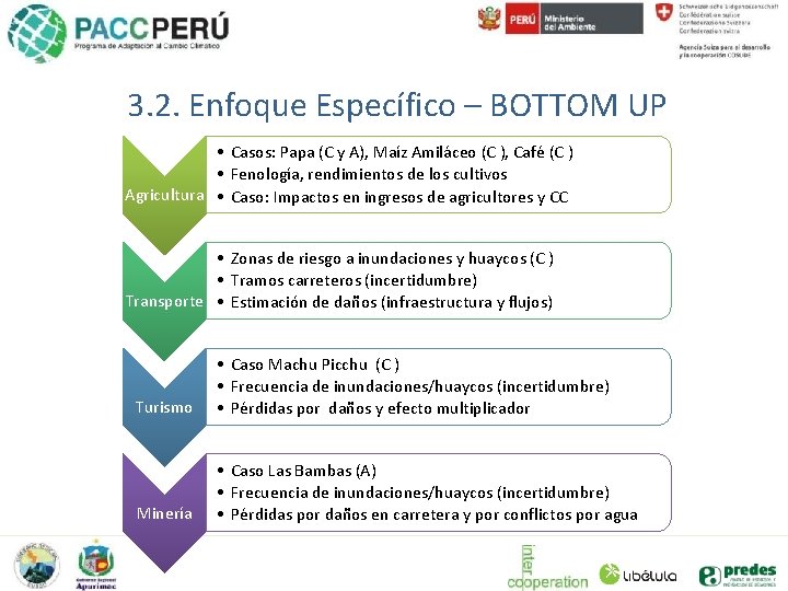 3. 2. Enfoque Específico – BOTTOM UP • Casos: Papa (C y A), Maíz