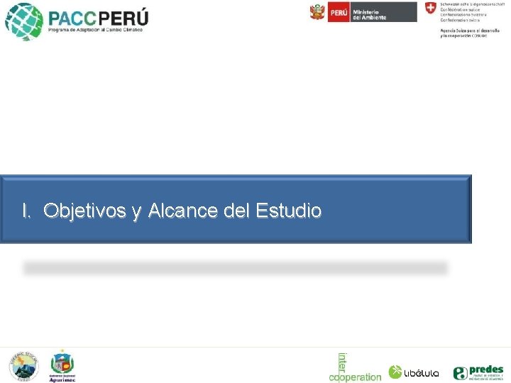 I. Objetivos y Alcance del Estudio 