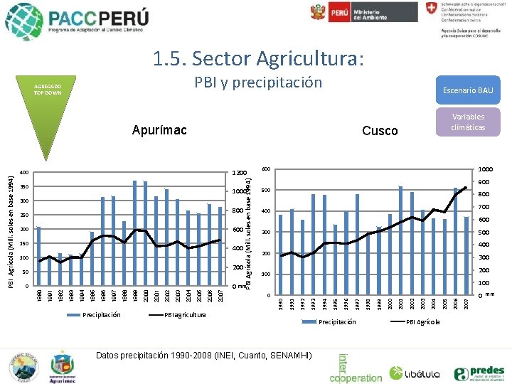 1. 5. Sector Agricultura: PBI y precipitación Escenario BAU Apurímac 1000 800 400 600