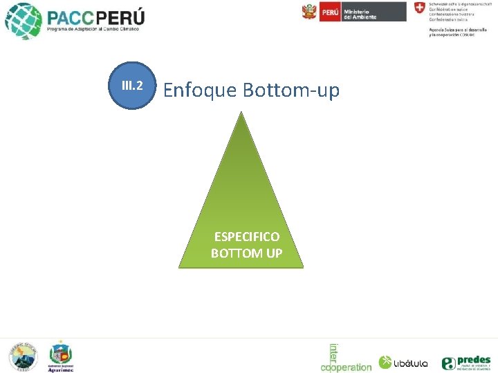 III. 2 Enfoque Bottom-up ESPECIFICO BOTTOM UP 