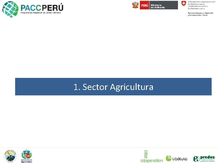 1. Sector Agricultura 