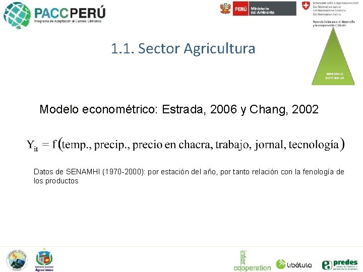 1. 1. Sector Agricultura AGREGADO TOP DOWN ESPECIFICO BOTTOM UP Modelo econométrico: Estrada, 2006