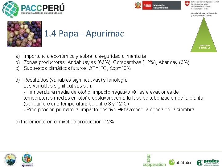 1. 4 Papa - Apurímac ESPECIFICO BOTTOM UP a) Importancia económica y sobre la