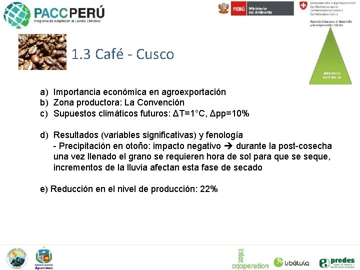 1. 3 Café - Cusco ESPECIFICO BOTTOM UP a) Importancia económica en agroexportación b)