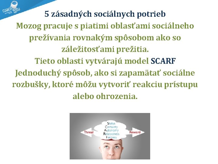 5 zásadných sociálnych potrieb Mozog pracuje s piatimi oblasťami sociálneho prežívania rovnakým spôsobom ako