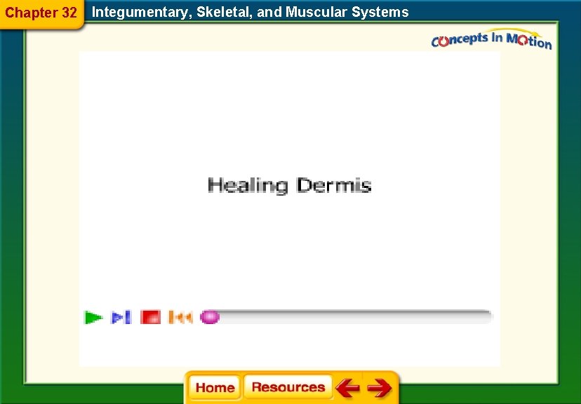 Chapter 32 Integumentary, Skeletal, and Muscular Systems 