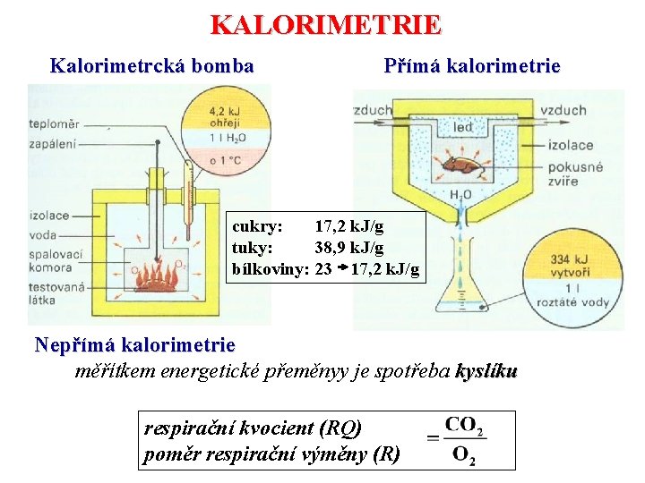 KALORIMETRIE Kalorimetrcká bomba Přímá kalorimetrie cukry: 17, 2 k. J/g tuky: 38, 9 k.