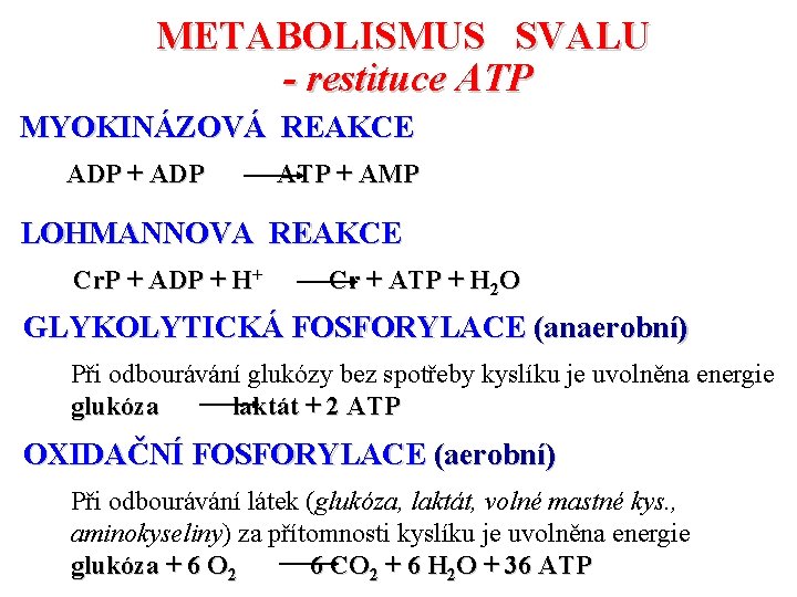 METABOLISMUS SVALU - restituce ATP MYOKINÁZOVÁ REAKCE ADP + ADP ATP + AMP LOHMANNOVA