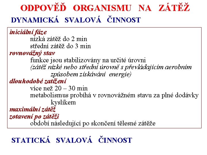 ODPOVĚĎ ORGANISMU NA ZÁTĚŽ DYNAMICKÁ SVALOVÁ ČINNOST iniciální fáze nízká zátěž do 2 min