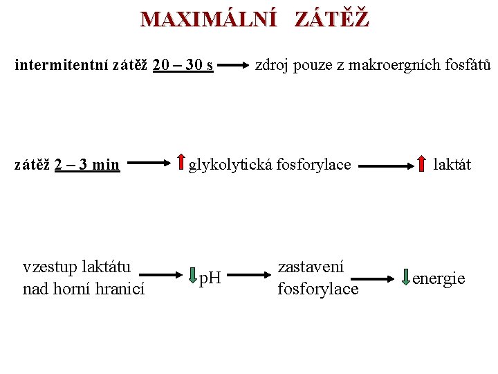 MAXIMÁLNÍ ZÁTĚŽ intermitentní zátěž 20 – 30 s zátěž 2 – 3 min vzestup