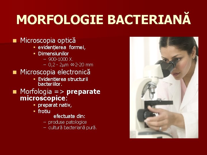MORFOLOGIE BACTERIANĂ n Microscopia optică § evidenţierea formei, § Dimensiunilor – 900 -1000 X.