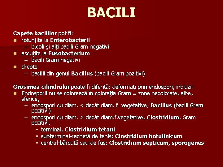 BACILI Capete bacililor pot fi: n rotunjite la Enterobacterii – b. coli şi alţi