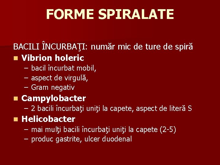 FORME SPIRALATE BACILI ÎNCURBAŢI: număr mic de ture de spiră n Vibrion holeric –
