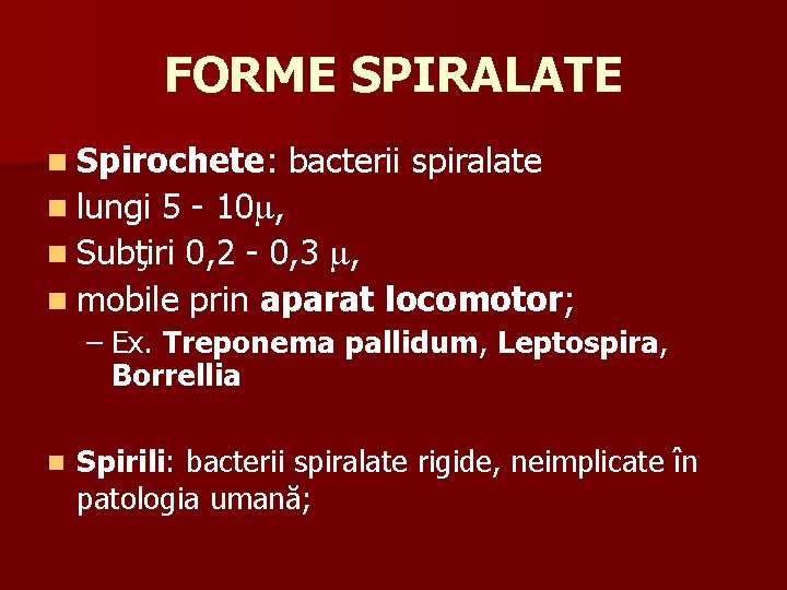 FORME SPIRALATE n Spirochete: bacterii spiralate 5 - 10 , n Subţiri 0, 2
