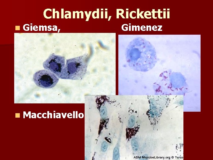 Chlamydii, Rickettii n Giemsa, n Macchiavello Gimenez 