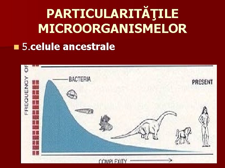 PARTICULARITĂŢILE MICROORGANISMELOR n 5. celule ancestrale 