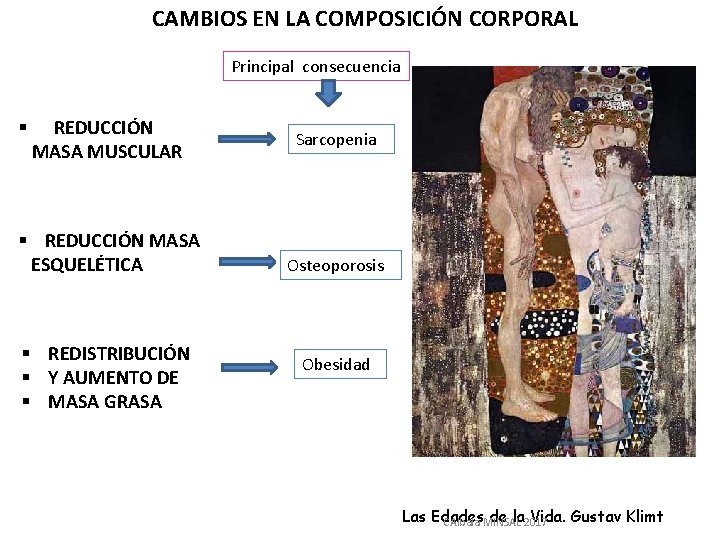 CAMBIOS EN LA COMPOSICIÓN CORPORAL Principal consecuencia § REDUCCIÓN MASA MUSCULAR § REDUCCIÓN MASA