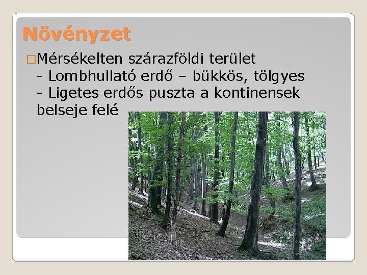 Növényzet �Mérsékelten szárazföldi terület - Lombhullató erdő – bükkös, tölgyes - Ligetes erdős puszta