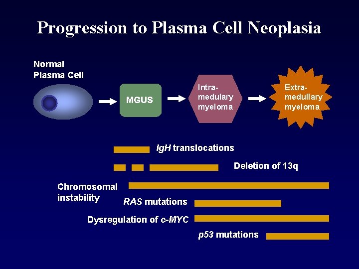 Progression to Plasma Cell Neoplasia Normal Plasma Cell Intramedulary myeloma MGUS Extramedullary myeloma Ig.