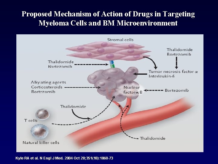Proposed Mechanism of Action of Drugs in Targeting Myeloma Cells and BM Microenvironment Kyle